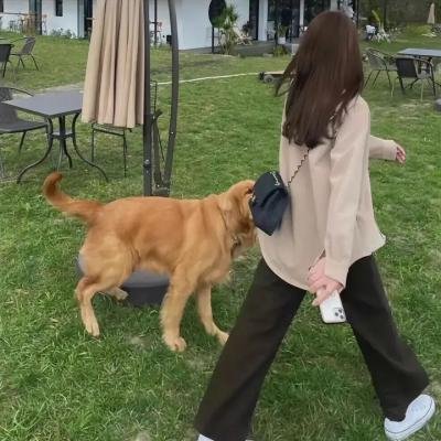 女猎鹰人 在线观看